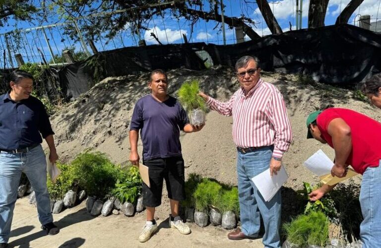 Secretario de Medio Ambiente y Recursos Naturales Encabeza Tercera entrega de 10 mil plantas