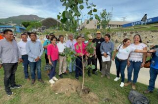 Evelyn Salgado impulsa acciones de atención al Medio Ambiente, con la Campaña de Reforestación en Acapulco