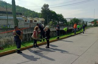 Evelyn Salgado impulsa la preservación del medio ambiente y reforestación en Chilpancingo