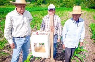 Implementa Evelyn Salgado en Guerrero control y manejo integrado de plagas