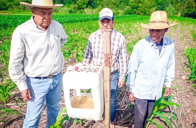Implementa Evelyn Salgado en Guerrero control y manejo integrado de plagas