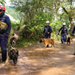 La gobernadora Evelyn Salgado impulsa la capacitación permanente de los cuerpos de emergencia