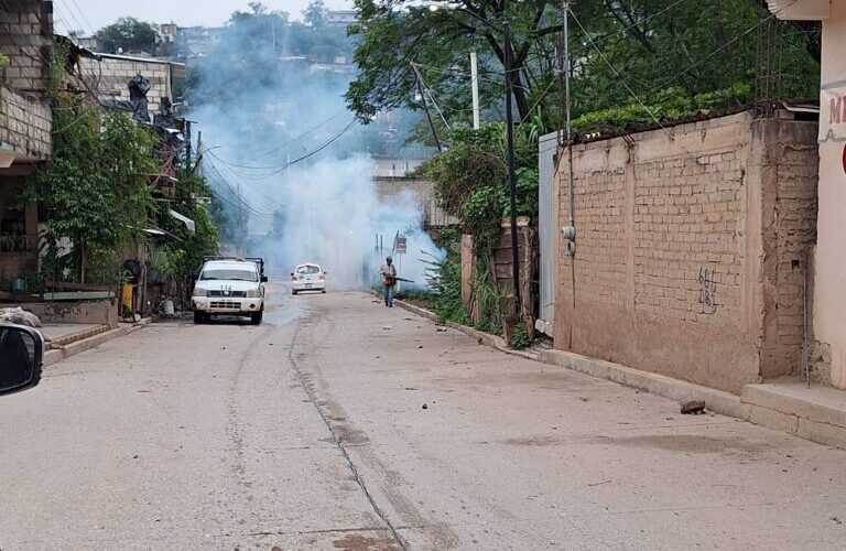 Refuerzan acciones para combatir el dengue en Tlapa