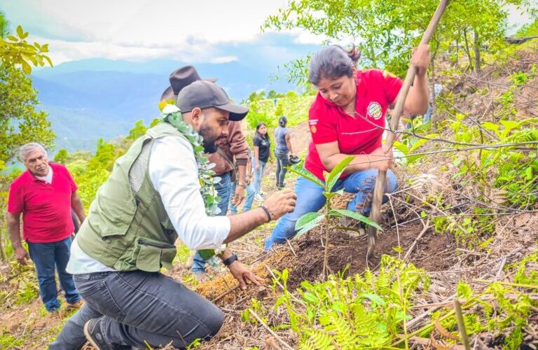 Sagadegro y Sembrando Vida realizan reforestación en Loma de Faisán, Malinaltepec