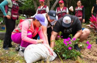 Continúan las jornadas comunitarias “Transformando Guerrero” respaldadas por la gobernadora Evelyn Salgado