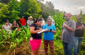 Implementa Evelyn Salgado prácticas de control biológico en el campo guerrerense