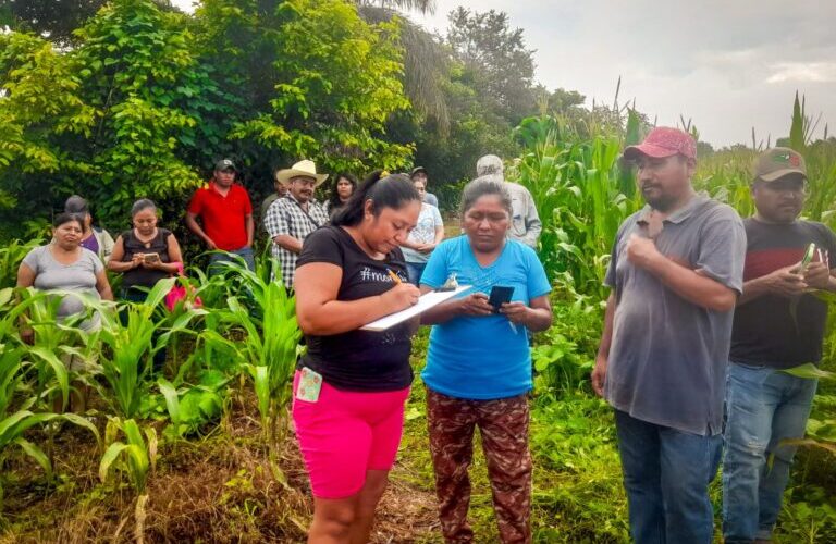 Implementa Evelyn Salgado prácticas de control biológico en el campo guerrerense