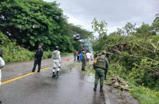 SSP Guerrero, Sedena y GN retiran árboles caídos y piedras que obstruyen carreteras estatales