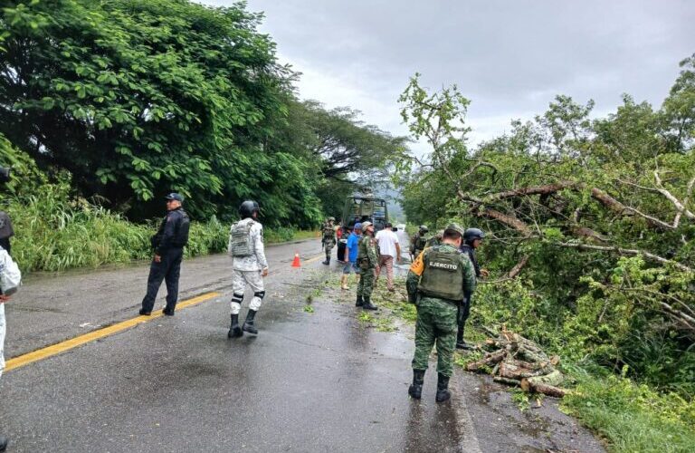SSP Guerrero, Sedena y GN retiran árboles caídos y piedras que obstruyen carreteras estatales