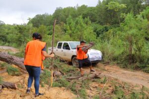 Brigadas de la SEDEPIA trabajan en la apertura de caminos en la región de la Montaña