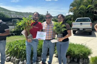 Semaren entregó, al cierre de este año, más de 242 mil plantas para la realización de reforestaciones