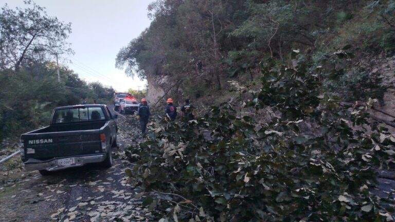 Personal de SGIRPCGRO atiende reporte de árboles caídos sobre la carretera Chilpancingo-Chichihualco