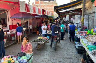 Las actividades cotidianas del municipio de Arcelia