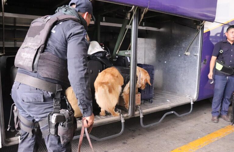 La Unidad Canina de la Policía Estatal da seguimiento a sus acciones