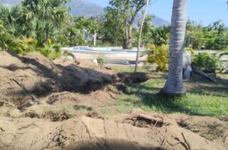 Se reforesta el Parque Papagayo con 280 árboles de gran tamaño, como parte del proyecto de rehabilitación de la gobernadora Evelyn Salgado