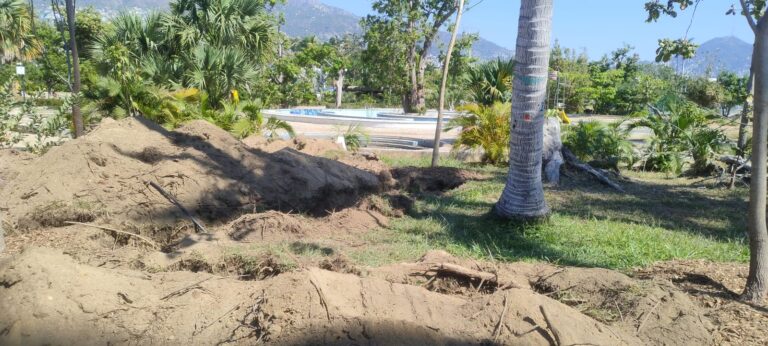 Se reforesta el Parque Papagayo con 280 árboles de gran tamaño, como parte del proyecto de rehabilitación de la gobernadora Evelyn Salgado