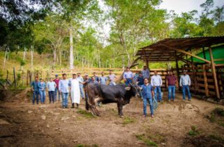 Sagadegro impulsa la ganadería con Programa de Mejoramiento Genético