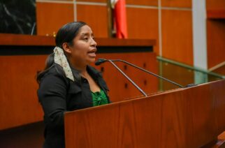 Diputada propone acciones para garantizar supervivencia de lenguas originarias en Guerrero