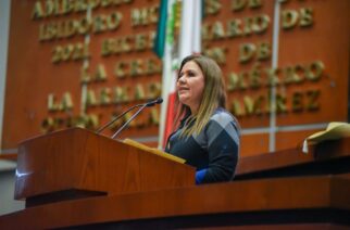 Pide diputada que dependencias difundan medidas de protección para niñas y mujeres