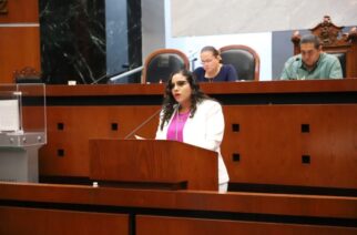 Propone diputada exhorto a ayuntamientos a cumplir normas de disposición final de residuos