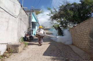 Refuerza el gobierno estatal acciones preventivas para mantener bajo control los casos de Dengue