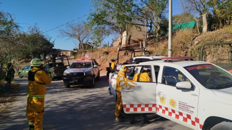 Brigadistas avanzan en el combate del incendio forestal en Iguala y sofocan siniestro en Taxco
