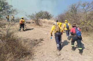 Continúan trabajos para controlar y liquidar en su totalidad incendio forestal en Platanillo