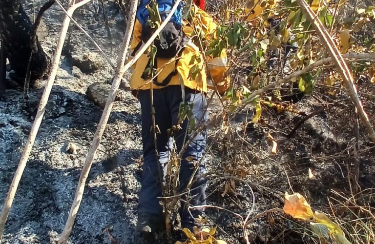 Brigadistas combaten incendio forestal al poniente de Chilpancingo