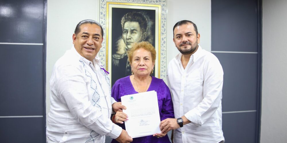 El Congreso de Guerrero recibe la iniciativa de “Ley Camila”