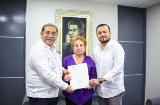 El Congreso de Guerrero recibe la iniciativa de “Ley Camila”