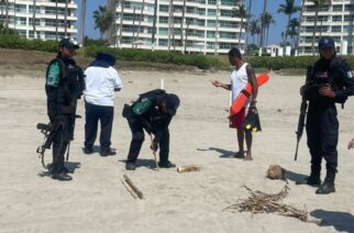 Policía Ecológica Estatal Recupera 98 Huevos de Tortuga Marina en Acapulco
