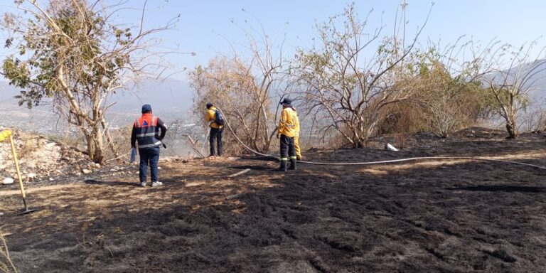 La SGIRPC: Registra temporada incendios forestales en 2025 menos siniestros respecto a 2024