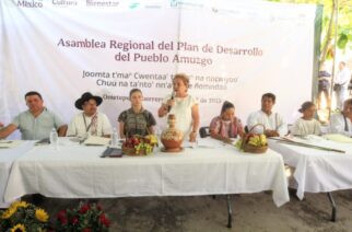 En Guerrero se respaldan y reconocen los derechos y la inclusión de los pueblos indígenas: Anacleta López