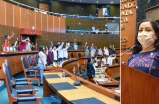 Exhorta el Congreso del estado a atender plagas en escuelas de Chilpancingo