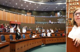 Aprueban reformas para prevenir y controlar sobrepeso y obesidad, principalmente en niños y jóvenes