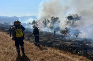 Controlado al 90 por ciento el incendio forestal en Chilpancingo: SGIRPCGRO