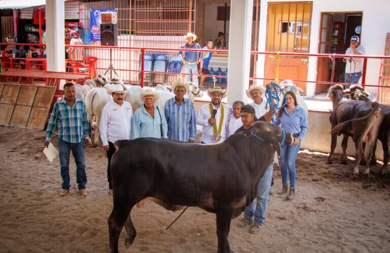 Impulsa el gobierno de Guerrero el mejoramiento ganadero en la Costa Chica
