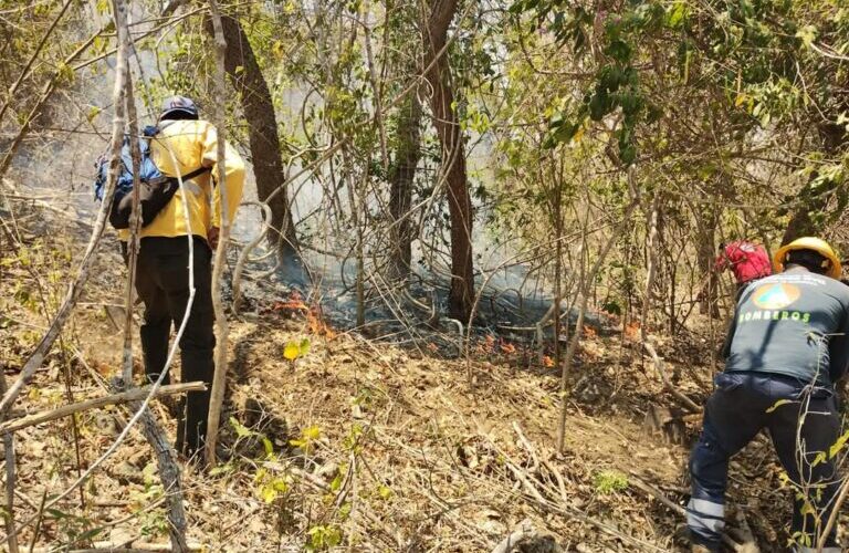 Autoridades continúan en la sofocación para el control del incendio en Cerro Grande, en el municipio de Iguala