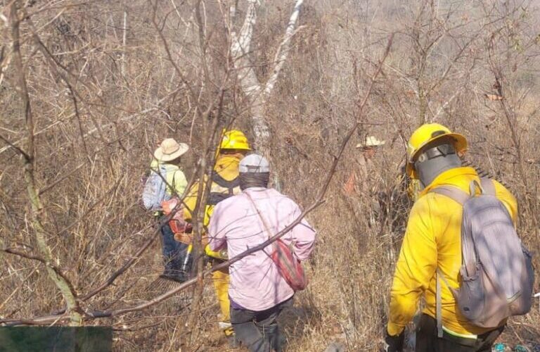 Continúan los trabajos para sofocar incendio en Pueblo Viejo, Iguala