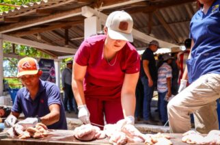 Realiza la Asociación de Criadores de Ganado de Registro de Guerrero el curso Inseminación Artificial