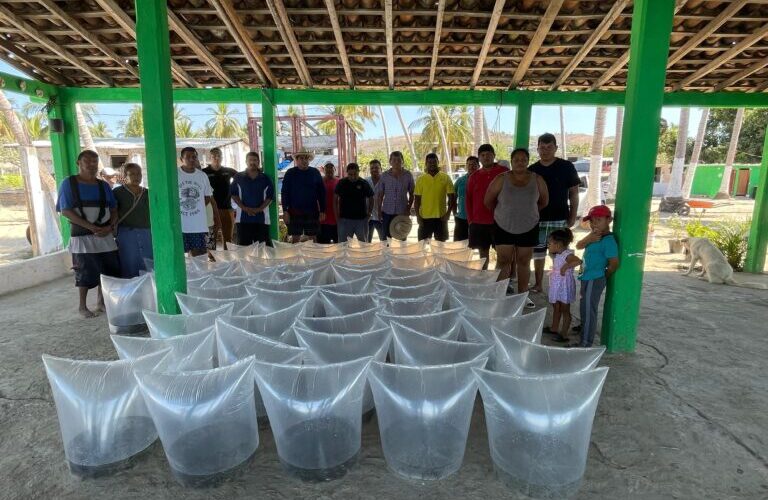 Se fortalece la productividad acuícola en Acapulco