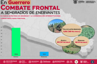 Resultado de las acciones emprendidas de la Mesa de Coordinación para la Construcción de la Paz se avanza en la erradicación de enervantes en Guerrero