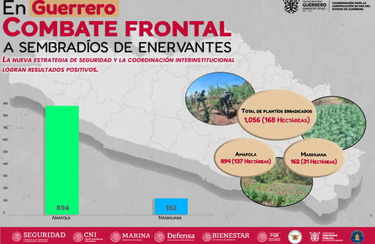 Resultado de las acciones emprendidas de la Mesa de Coordinación para la Construcción de la Paz se avanza en la erradicación de enervantes en Guerrero