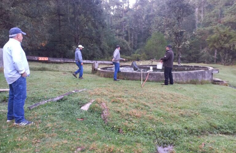 Brinda Sagadegro asistencia técnica a productores acuícolas de la sierra de Guerrero
