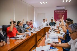 Importante la coordinación de esfuerzos para asegurar el bienestar de las familias guerrerenses: Sagadegro