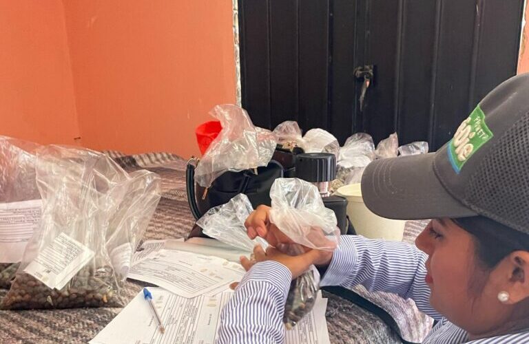 Sagadegro recolecta muestras de café para evaluación de calidad