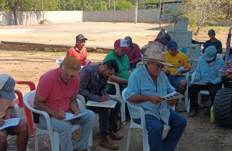 Brinda la Sagadegro en la región de la Costa Grande capacitación técnica sobre plagas y enfermedades del mango