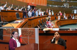 Pide LXIV Legislatura a CFE que restablezca servicio en la montaña y condone temporalmente el cobro