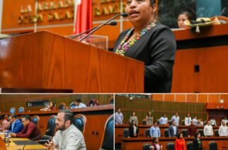 Propone en el Congreso que dependencias estatales y ayuntamientos trabajen contra conductas patriarcales en la montaña de Guerrero