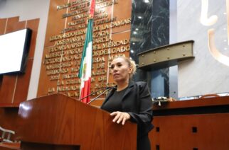 Propone diputada refugios permanentes para mujeres víctimas de violencia en todos los municipios